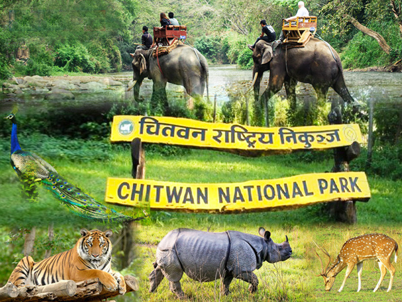 हालसम्मकै धेरै पर्यटक भित्रिए :चितवन राष्ट्रिय निकुञ्ज