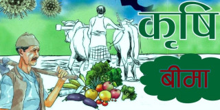 नेपाल सरकारले अनुदान रकम रोकिएपछि कृषि   बिमा कम्पनी बन्द !!!!!