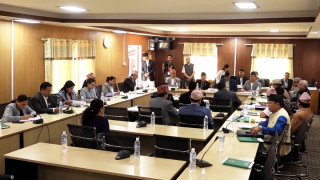 संसदीय समितिको बैठकमा ज्येष्ठ सदस्यले गरे बैठकको अध्यक्षता  !!!