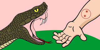 सिन्धुलीको दुधौली नगरपालिका–१ कुर्थौलीमा सर्पले डसेर एकै परिवारका दुई बालकको मृत्यु