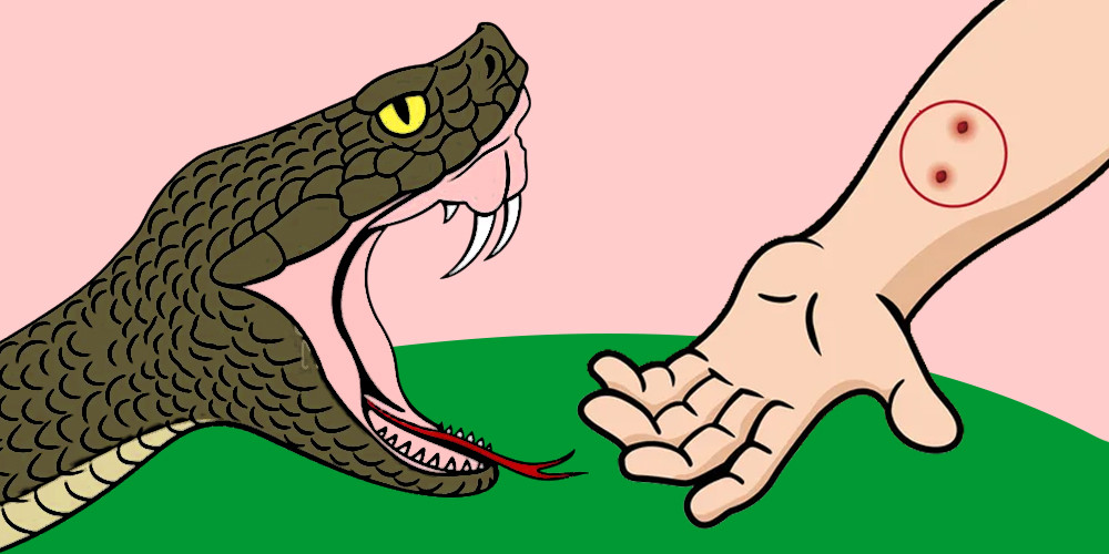 सिन्धुलीको दुधौली नगरपालिका–१ कुर्थौलीमा सर्पले डसेर एकै परिवारका दुई बालकको मृत्यु