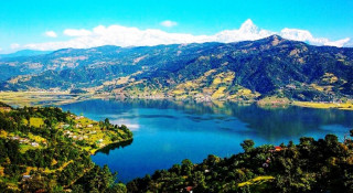 पाेखराकाे फेवातालमा  ७ हजार शहर माछाको भुरा  छाडियो