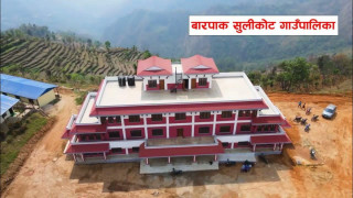 गोरखा बारपाक सुलिकोट गाउँपालिकामा पशु स्वास्थ्य शिविर हुन