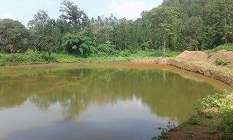 उपत्यकाका पहाडमा १ सय भन्दा बढी पोखरी बनाइने