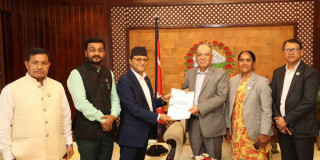 राष्ट्रियसभा अध्यक्ष तिमिल्सिना र  प्रधानमन्त्री प्रचण्डबीच भेटवार्ता