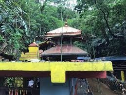 छाब्दी वाराहीमा तामाको छानो