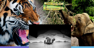 चितवनमा  १२ जनाको मृत्यु    ३१ ,गम्भीर घाइते , २७ जना सामान्य घाइते