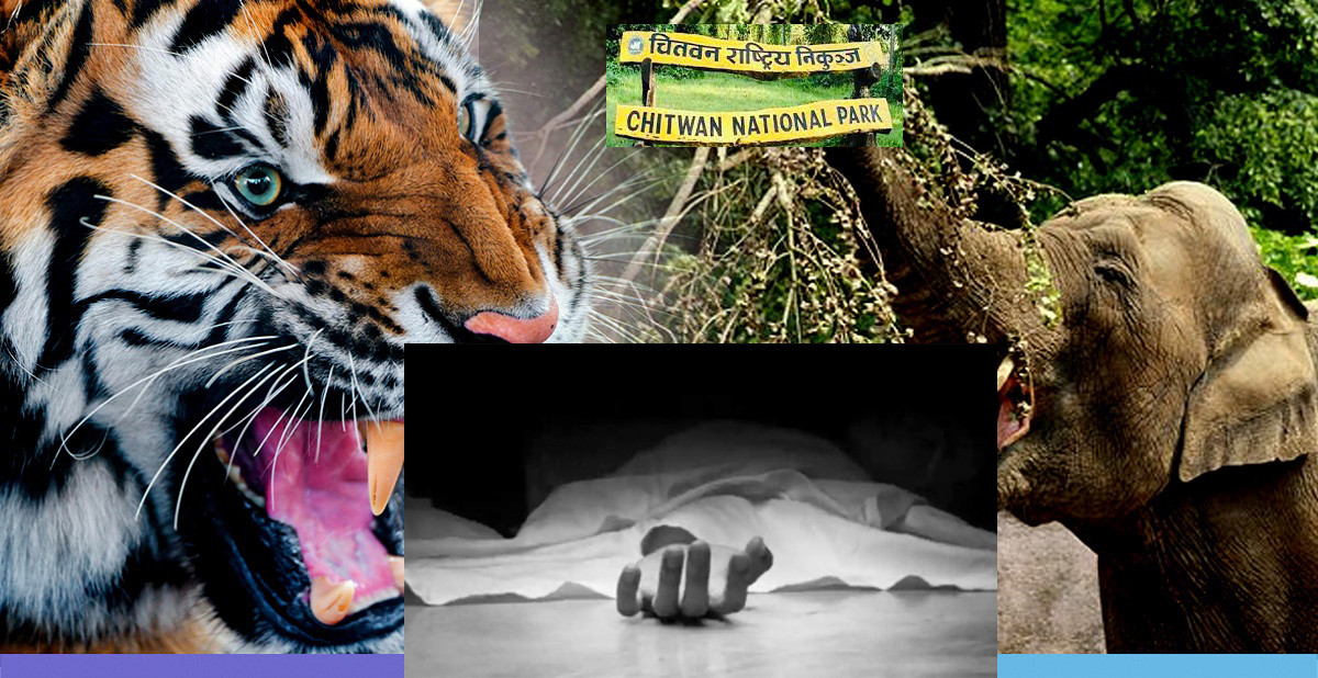 चितवनमा  १२ जनाको मृत्यु    ३१ ,गम्भीर घाइते , २७ जना सामान्य घाइते