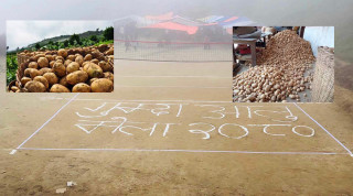 गोरखाको धार्चे गाउँपालिका गुम्दामा आलु मेला सुरु