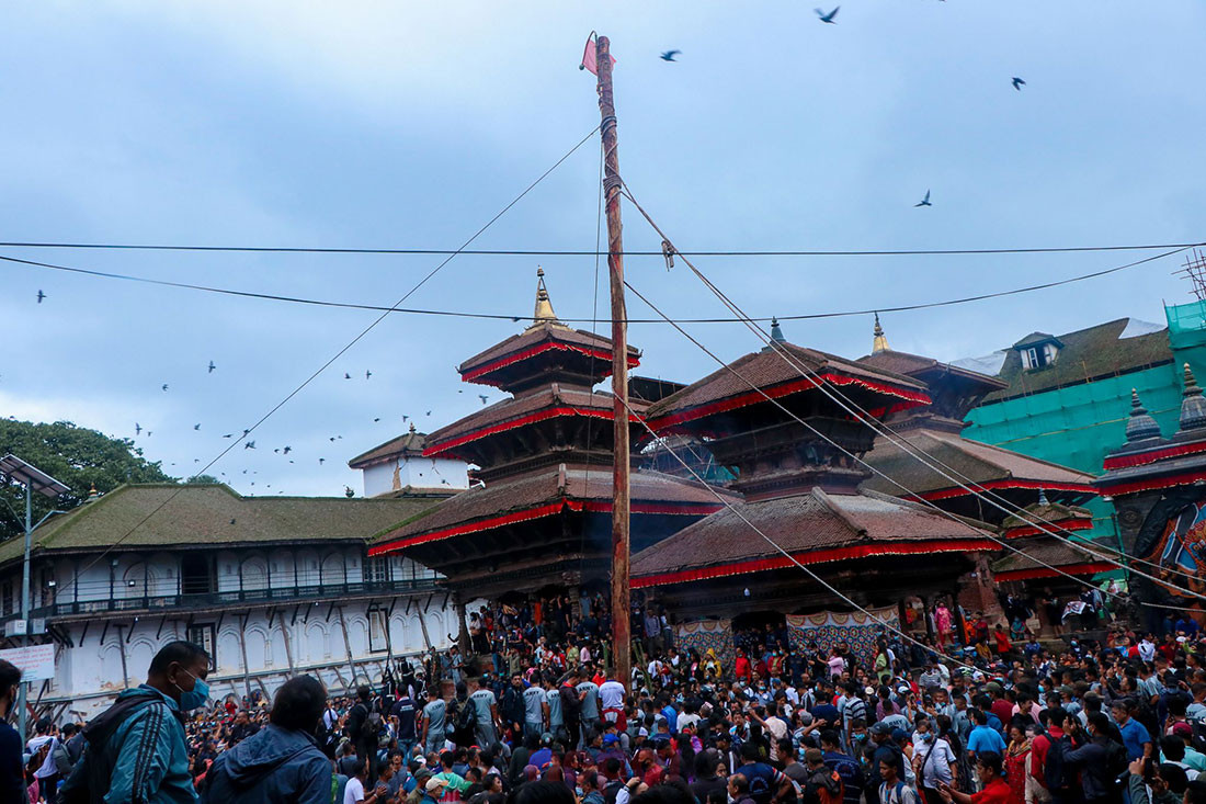 हनुमानढोकामा ठड्याइयो इन्द्रजात्राको लिङ्गो 