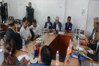 चिकित्सकमाथि आक्रमण र दुर्ववहार गर्नेलाई कारबाही  गर्न संसदीय समिति  निर्देशन