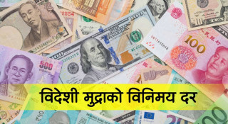 विदेशी मुद्राको विनिमय दर निर्धारण