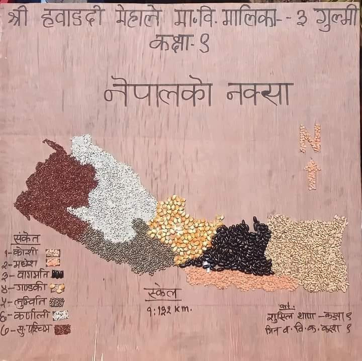 दुई विद्यार्थीहरू मिलेर खाद्यान्न बालीको दाना प्रयोग गरी  नेपालको नक्सा