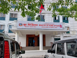 उपसचिवहरूको सरुवा, को काहाँ पुगे