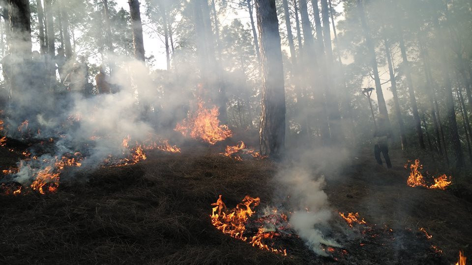  आगो निभाउने क्रममा चार जना सैनिक घाइते