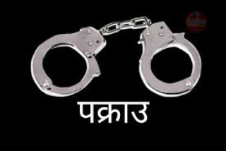 सिरानचोकको थालाजुङका बिनोद गुरुङ गाँजा सहित पक्राउ