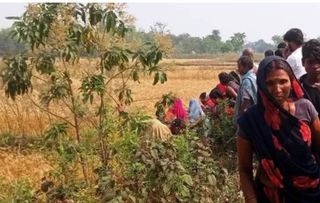 धनुषामा गहुँ बारीमा एक महिलाको शव फेला