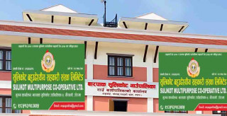 गाउँपालिकाको ७० प्रतिशत र सुलिकोट सहकारीको ३० प्रतिशत लगानीमा कृषि एम्बुलेन्स सञ्चालन गर्ने 