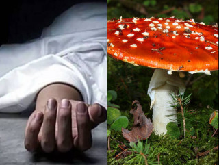  एक घरमा जंगली च्याउको तरकारी खाँदा एक जनाको  मृत्यु ४ जनाको अवस्था गम्भीर