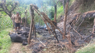 शहीदलखनमा आगलागी हुदा ६ वटा बाख्रा जलेर नष्ट
