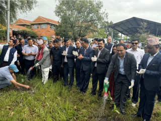 ३९औँ वार्षिकोत्सवको अवसरमा नेपाल विद्युत् प्राधिकरणले वृक्षारोपण कार्यक्रम गर्दै
