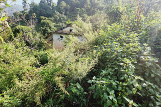 गडीगाउँमा पुराना बस्ती देखिए पनि मानिसको चहलपहल भने शून्य