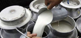 उद्यमी महिला सहकारी संस्थाले डेरी पसल विस्तार