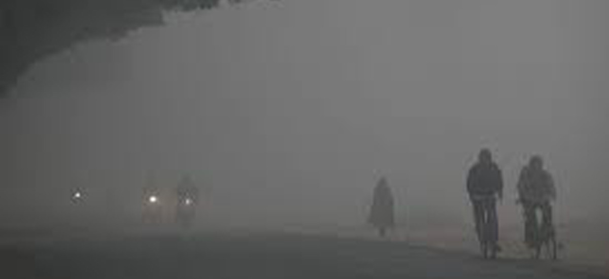 आज तराईका केही स्थानमा बक्लो हुस्सु र कुहिरोले जनजीवन प्रभावित बन्दै