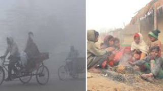 तराईमा हुस्सु र कुहिरोले प्रभाव