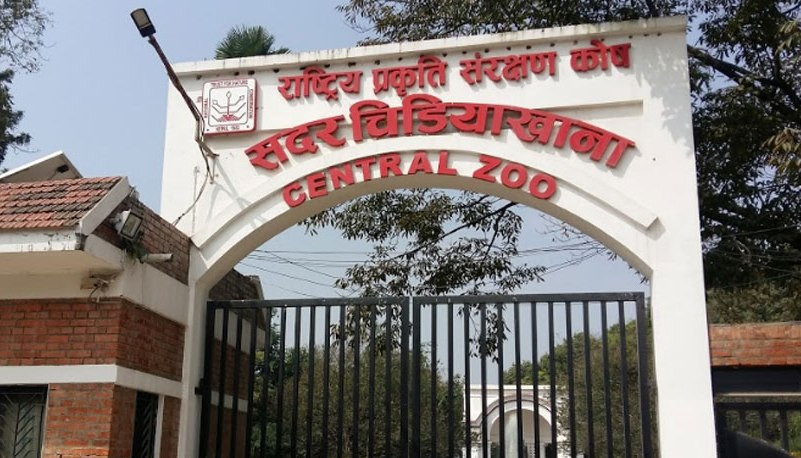  जावलाखेलको सदर चिडियाखाना नयाँ वर्ष सालदेखि बेलुकी ८ बजेसम्म सञ्चालन हुने 