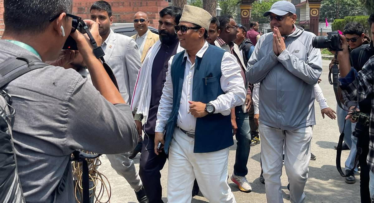नाउपाका  संरक्षकचौधरी फेरी  पक्राउ