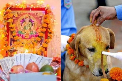  आज लक्ष्मी पूजा र कुकुर तिहार एकै दिन 