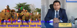 पुष ११ देखि सौराहामा हात्ती महोत्सव, बागमती पर्यटन मन्त्रालयको व्यापक तयारी
